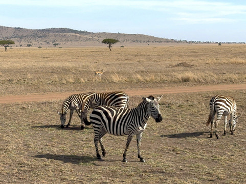 Ascend Tanzania-莫西必去景点