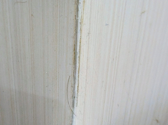 Ramada By Wyndham Miami Springs/miami International Airport主图