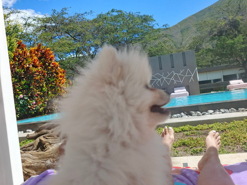 TransMagic-基多必去景点