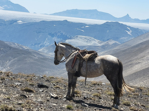 Rancho Carhuello-普孔必去景点