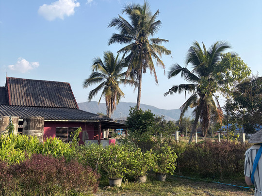 Smile Organic Farm Cooking School-清迈必去景点