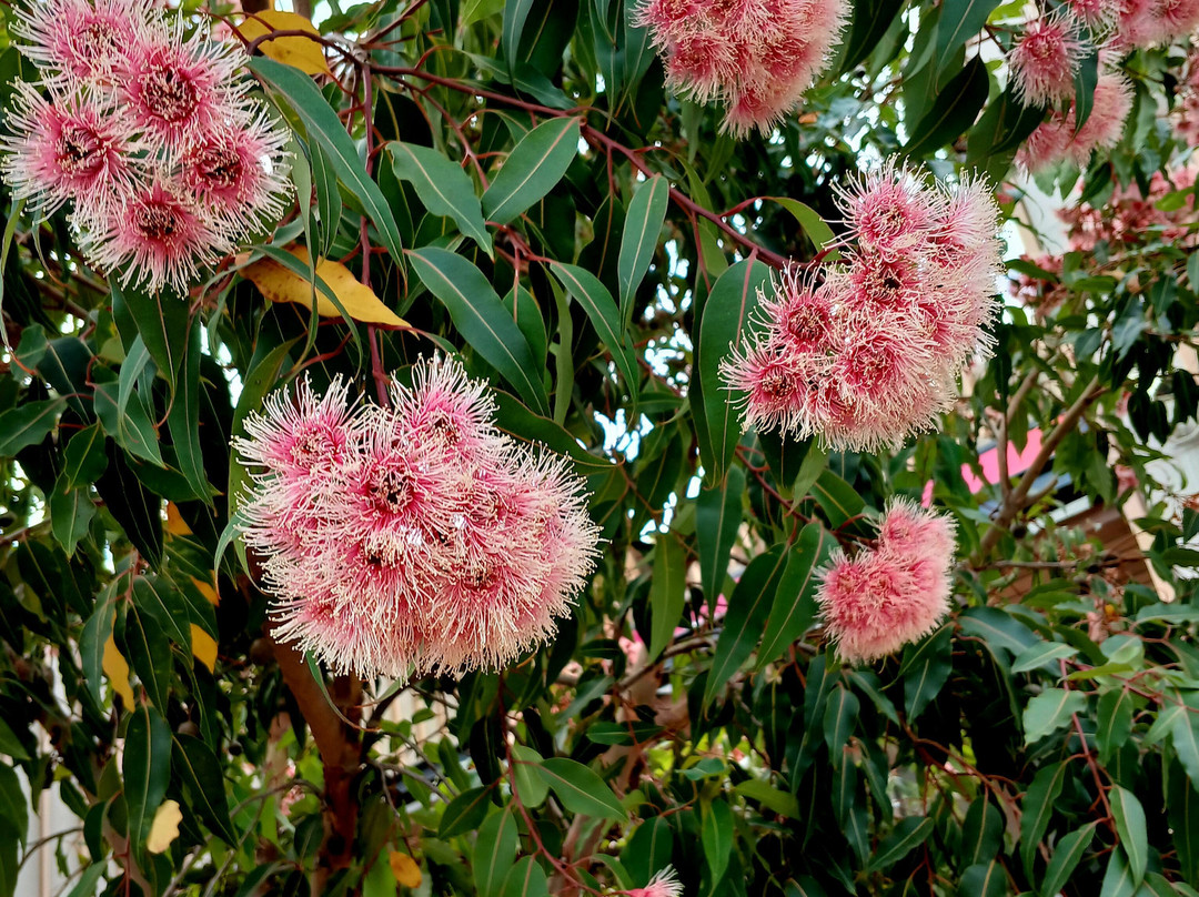 莫宁顿布鲁克兰酒店主图