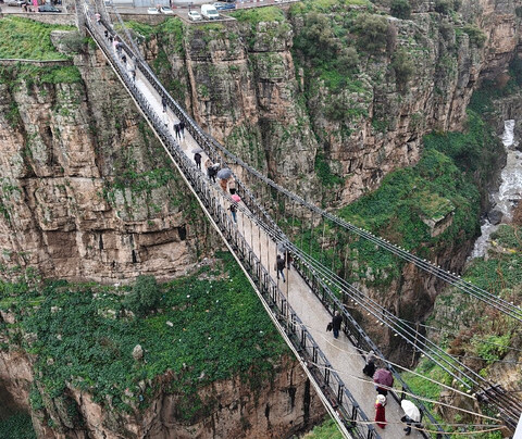 Discover Ghardaia Travel Agency-盖尔达耶必去景点