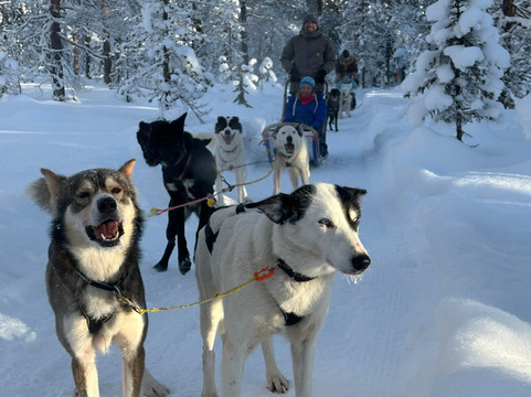 Trysil Husky-Torberget必去景点