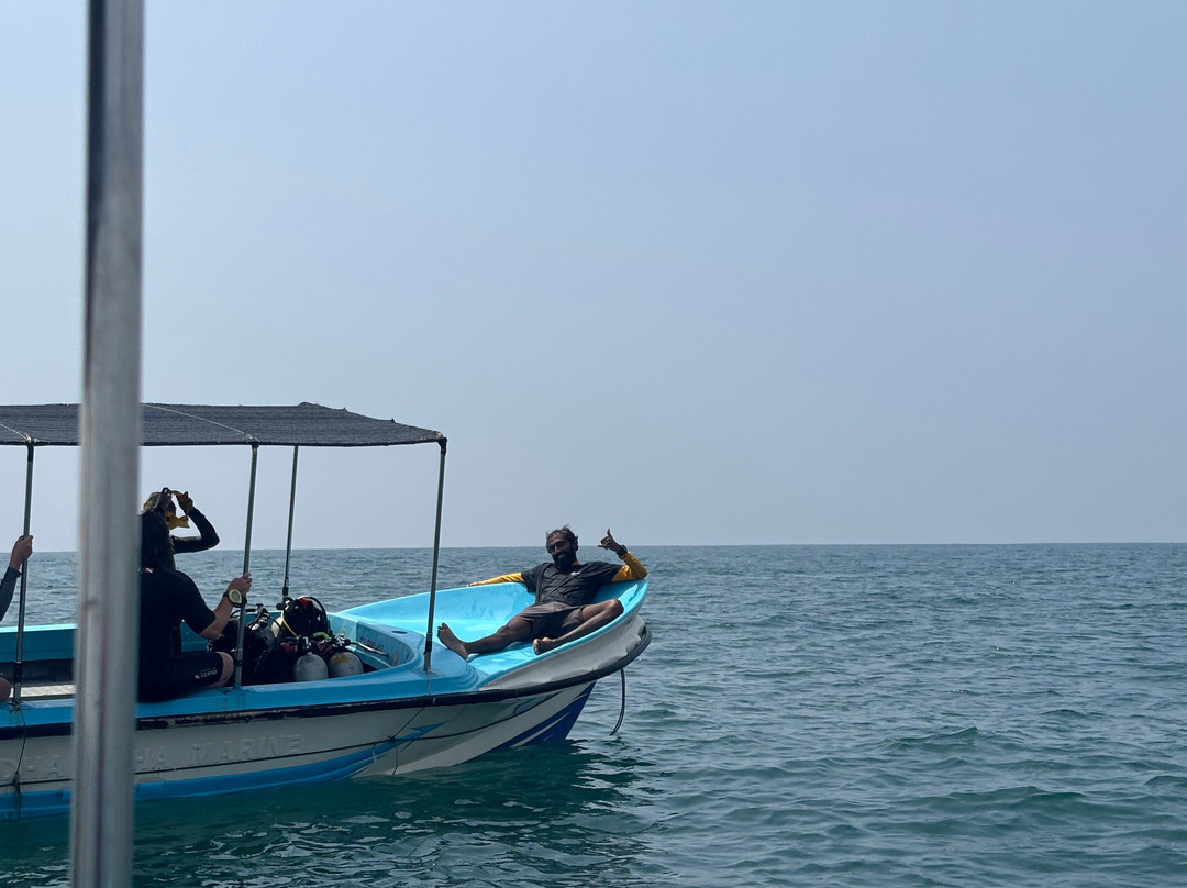 Weligama Bay Dive Center-瓦勒迦玛必去景点