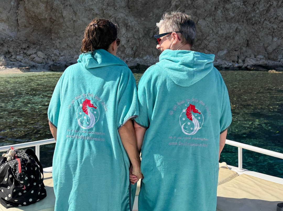 Red Sea Horse Diving-Hurghada 1必去景点