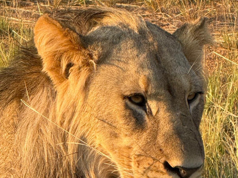 Loisico Tours and Excursions-Bloubergstrand必去景点