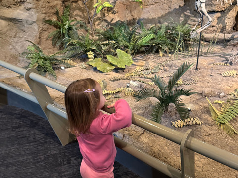 卡内基自然历史博物馆-匹兹堡必去景点