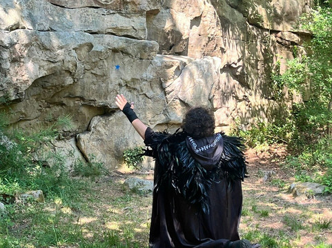 Immmersiv - Fontainebleau