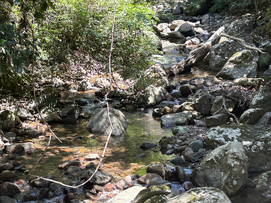 Minnamurra Falls-Jamberoo必去景点