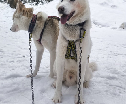 Arctic Expedition-埃斯波必去景点