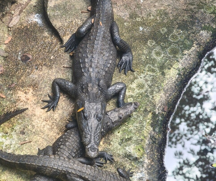 Toolok kaa'n-从莫雷洛斯港必去景点