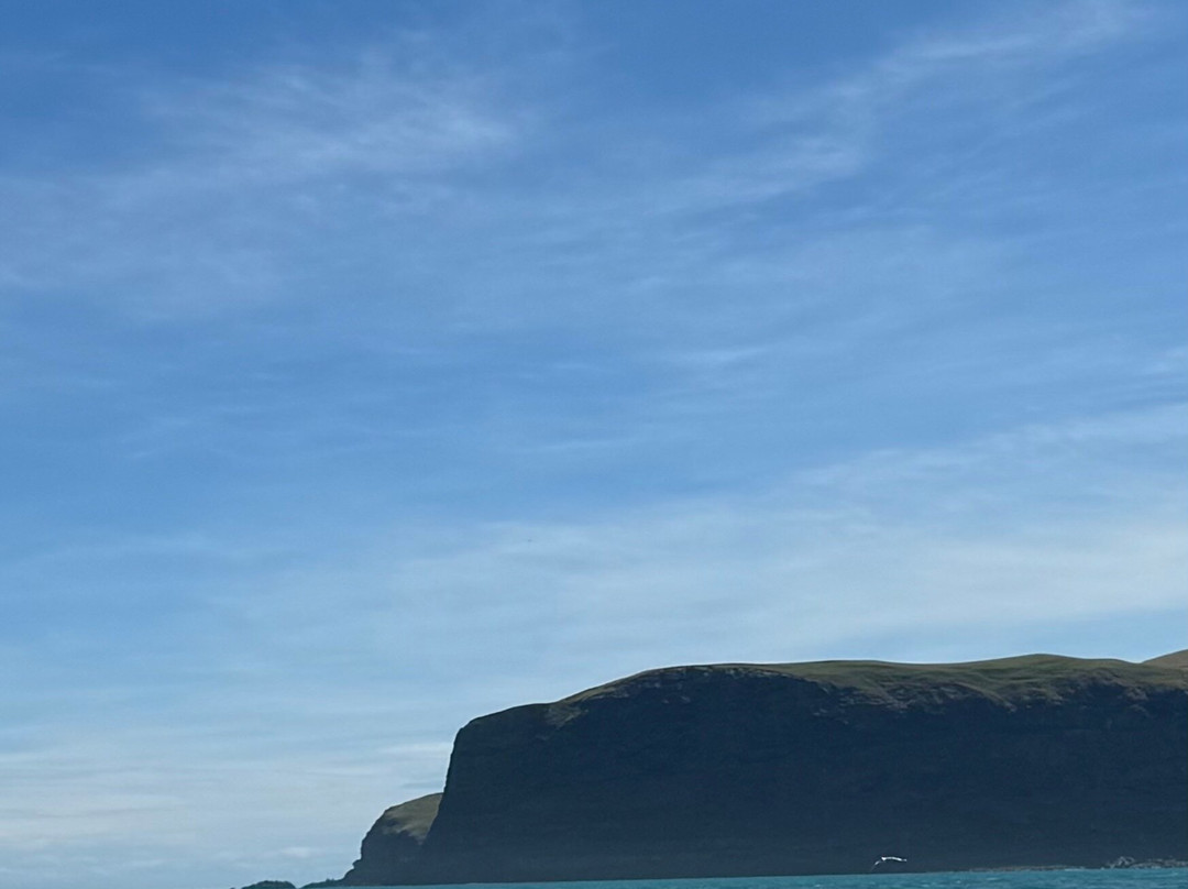 Ecoseaker Dolphin Swimming & Harbour Cruises-阿卡罗阿必去景点