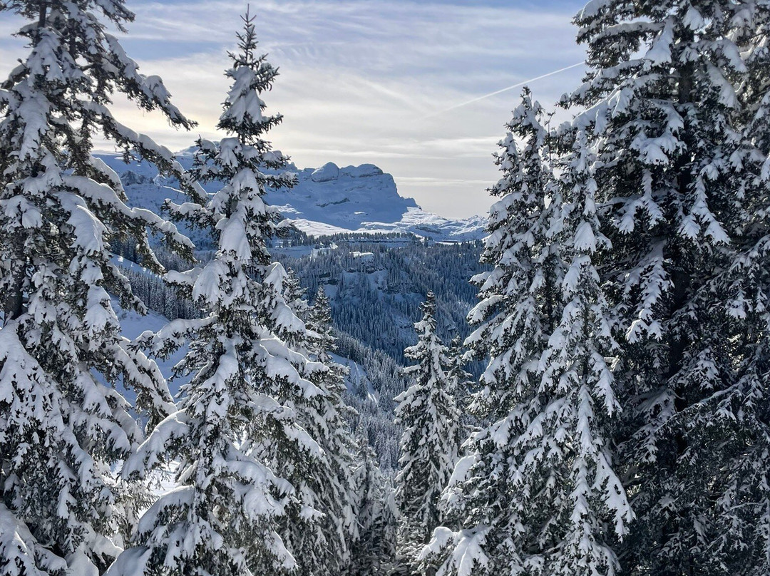 Station de Ski les Carroz-Les Carroz-d'Araches必去景点