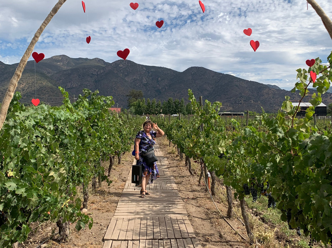 Viña Casa Acosta-San Vicente de Tagua Tagua必去景点