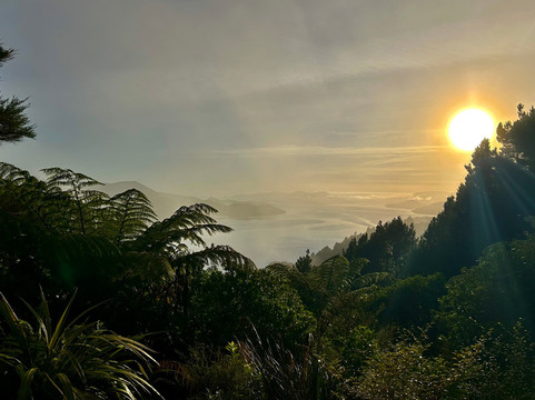Marlborough Sounds Adventure Company - Day Tours-皮克顿必去景点