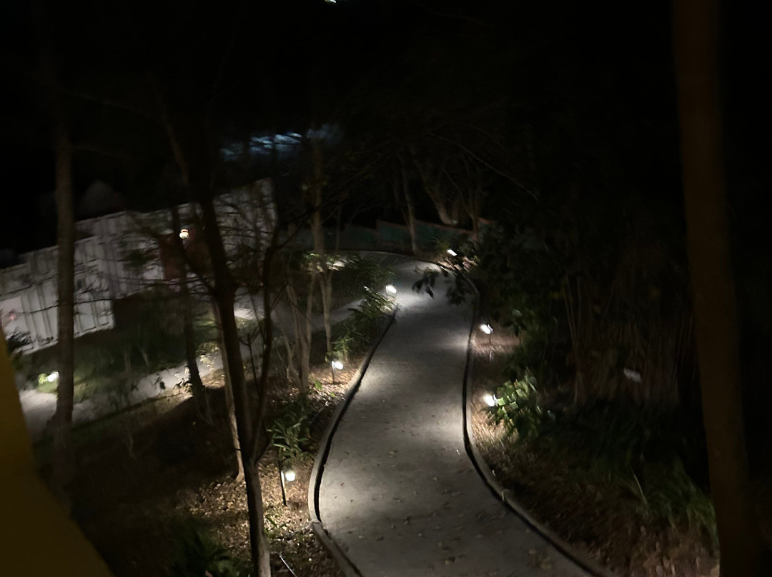 克拉克斯异域岛屿之家, 布莱尔港主图