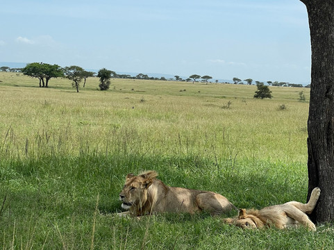 Masumin car hire & safaris-姆万扎必去景点