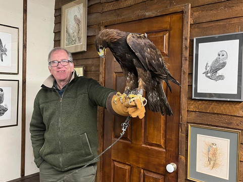 Riverside Falconry-纽卡斯尔必去景点