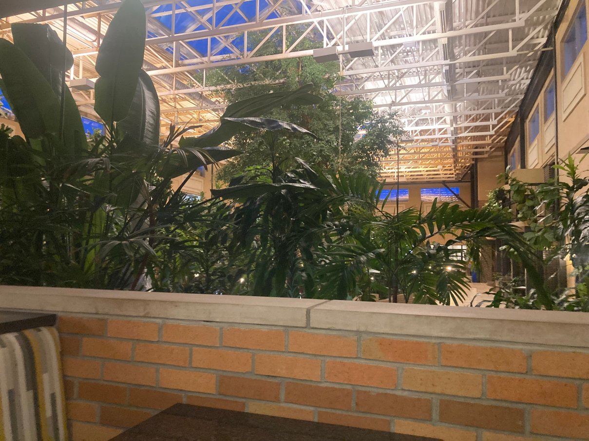 罗斯里尔蒙特玛尼酒店-泳池