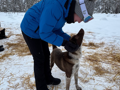 Trysil Husky-Torberget必去景点