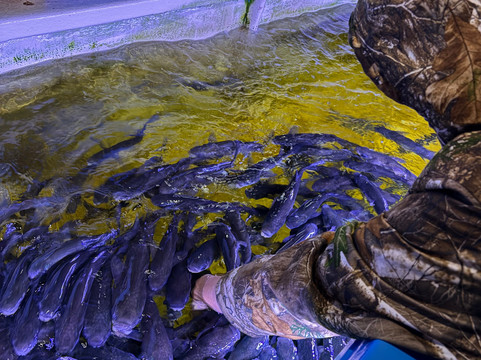 Lyme Regis Marine Aquarium-莱姆里杰斯必去景点