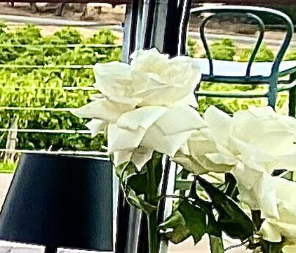 Mollydooker Wines-麦克拉伦谷必去景点