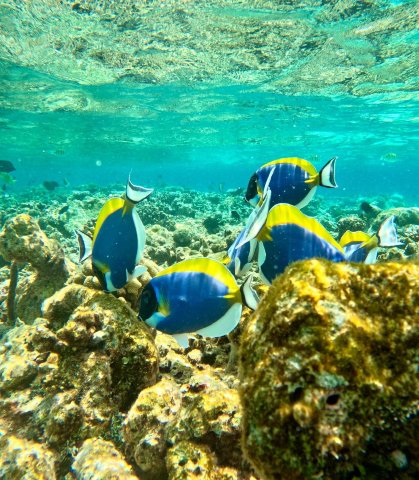 Omadhoo Coral View Inn-官方