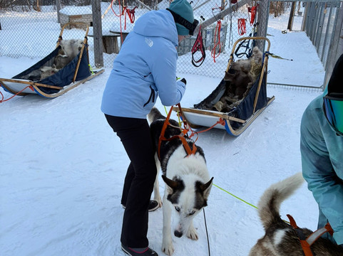 Pirate Husky-Borselv必去景点