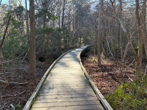 Jarvis Creek Park-希尔顿头岛必去景点