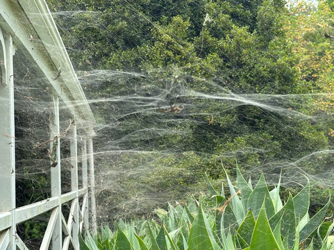 Pitcairn Settlers Village-诺福克岛必去景点