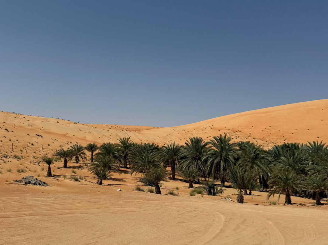 Liwa Desert Safari - Extreme Tourism-阿布扎比必去景点