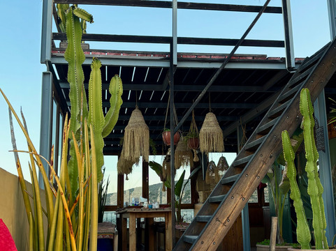 Surf Soul Adventure-Tamraght必去景点