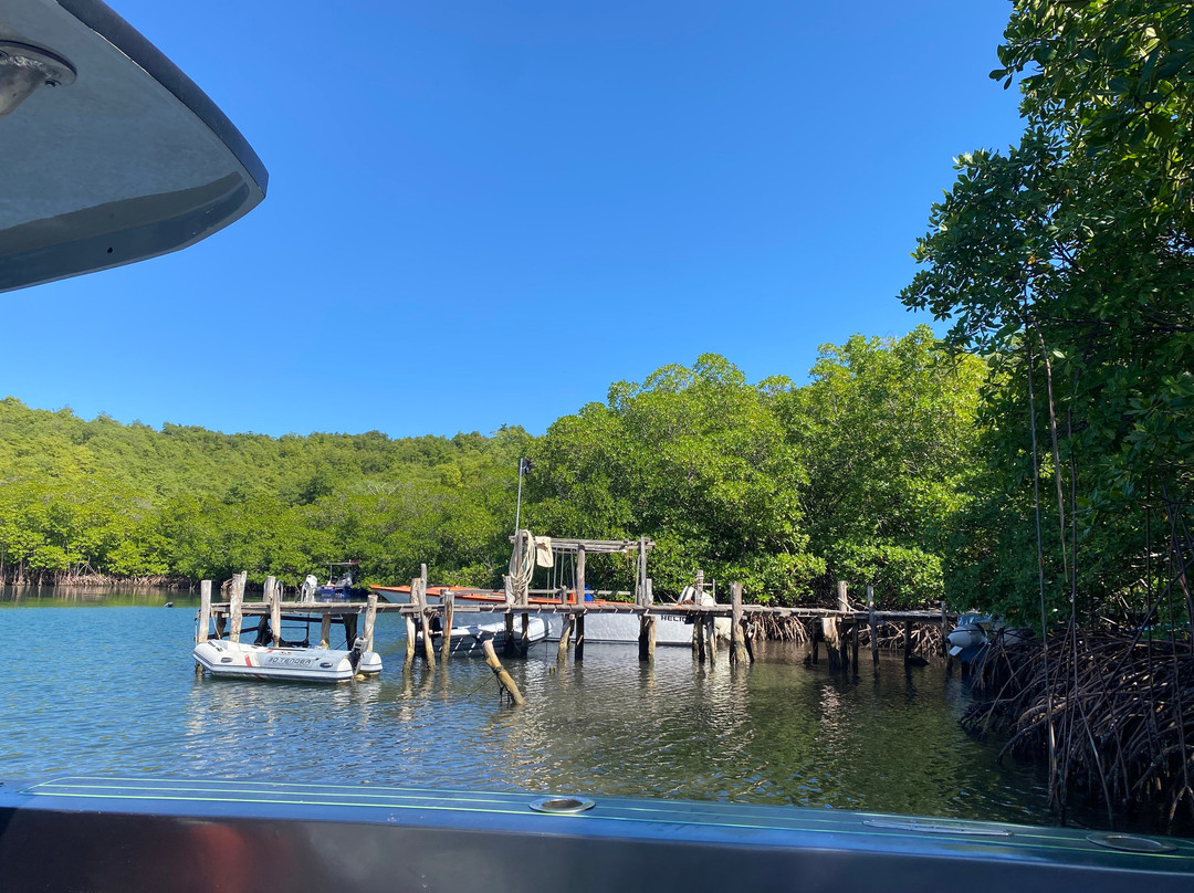 Capitaine Titi Balades en Mer-La Trinite必去景点