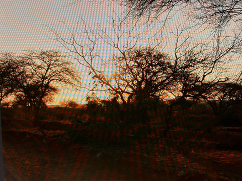 Kenya Safari Con Kassim Luigi-瓦塔木必去景点