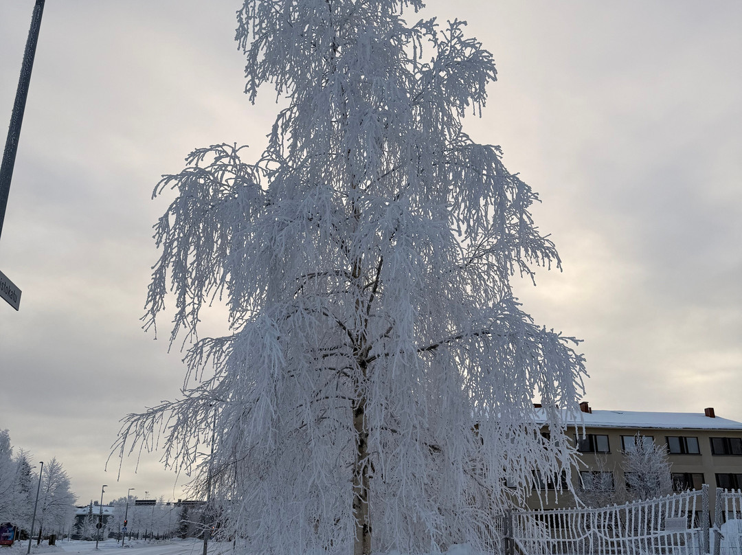 德格姆拉亨餐厅酒店主图