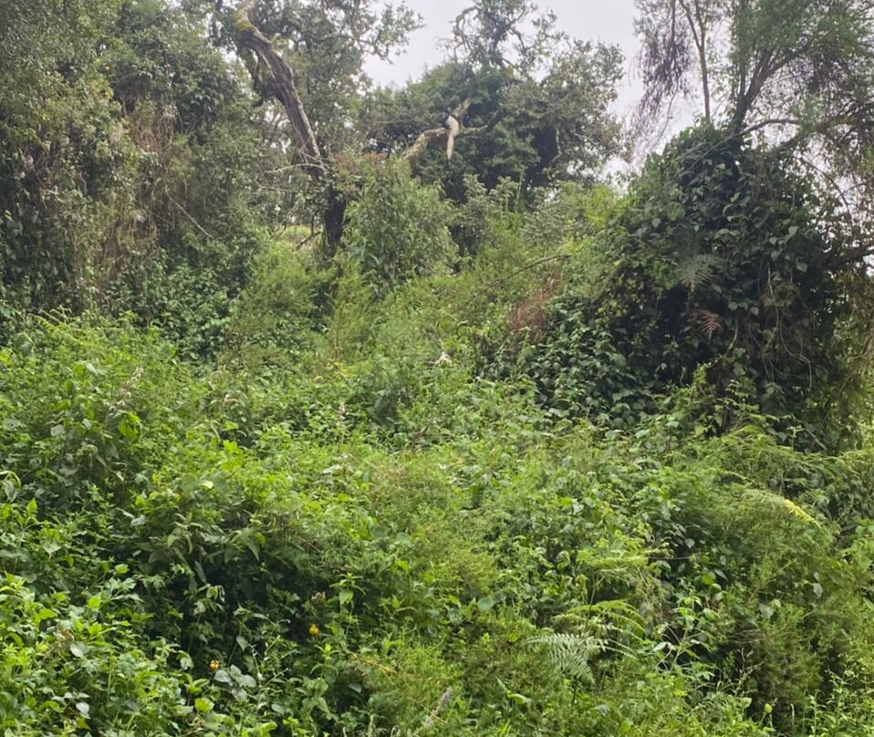 Sere adventure Safari-Kiboriloni必去景点