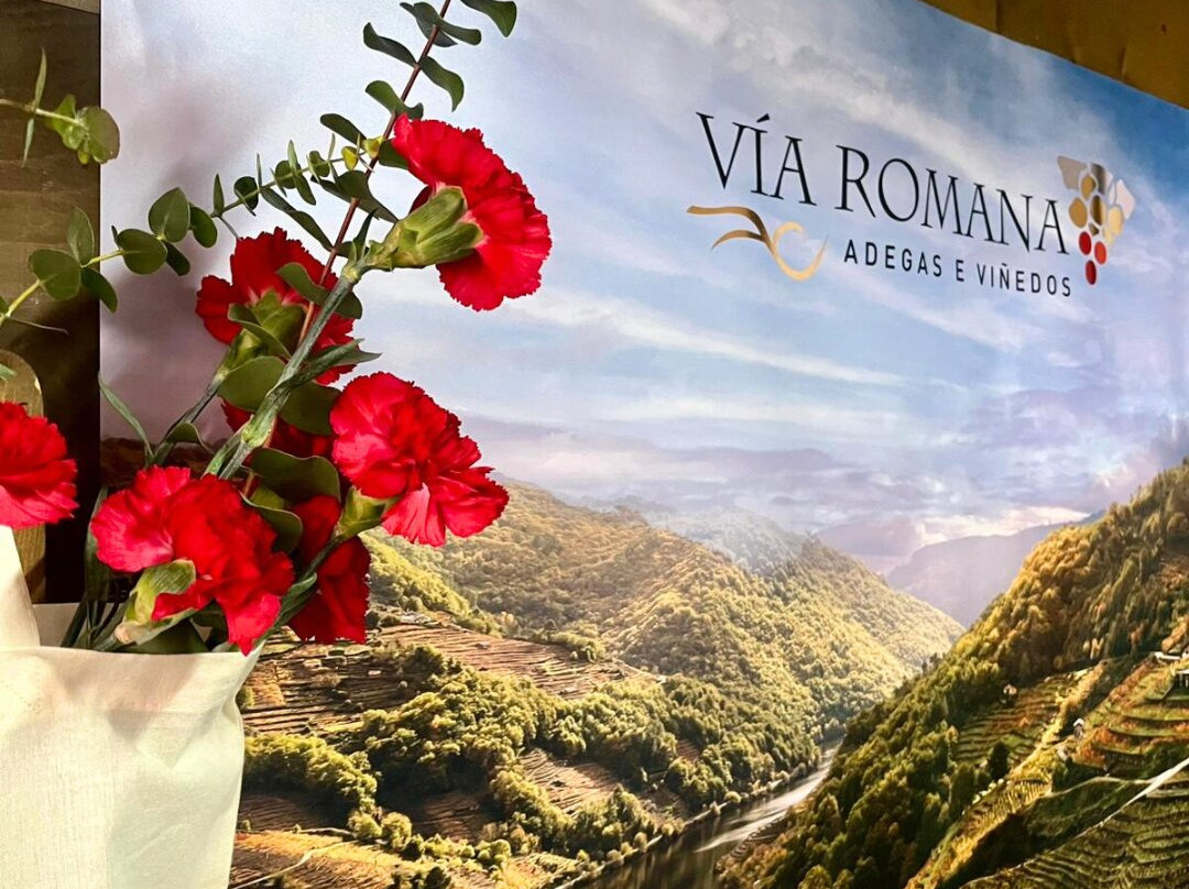 Via Romana Adegas e Vinedos-Chantada必去景点