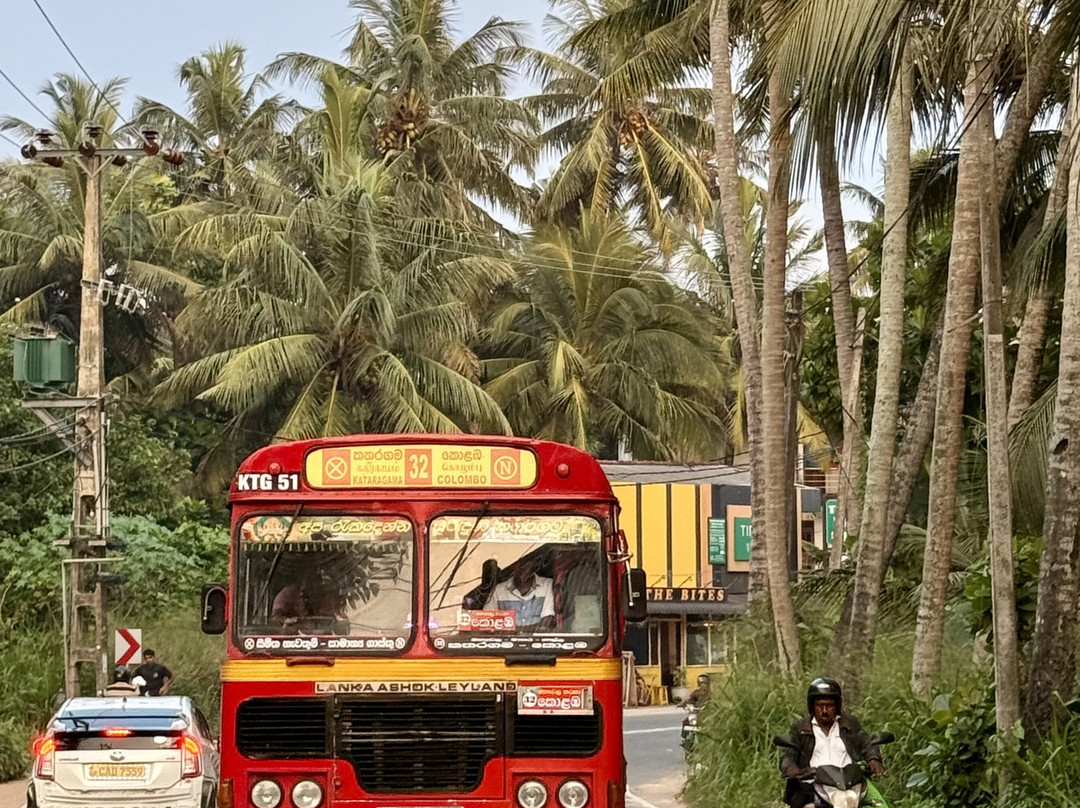 Wicky Tours Sri Lanka-尼甘布必去景点