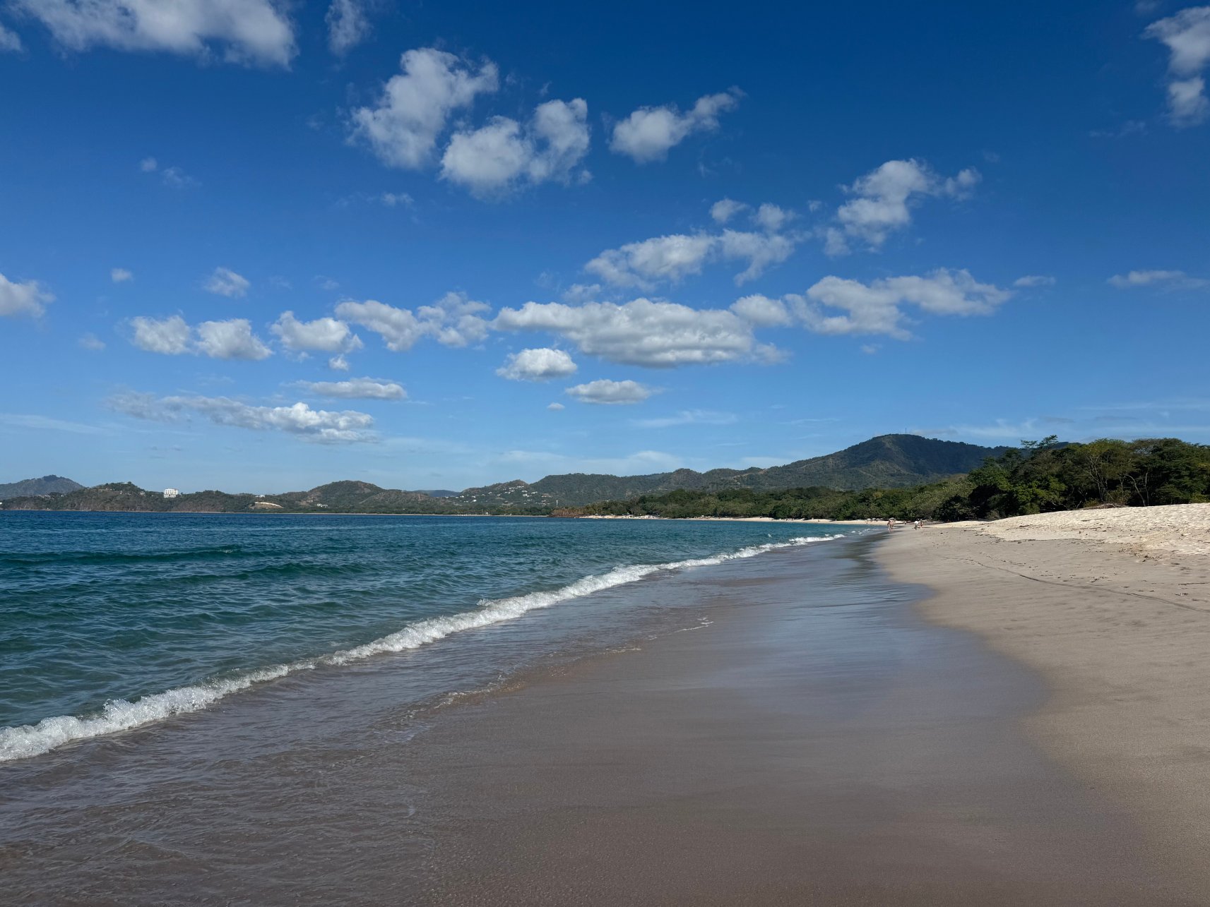 哥斯达黎加W酒店-莱瑟瓦康洽尔-泳池