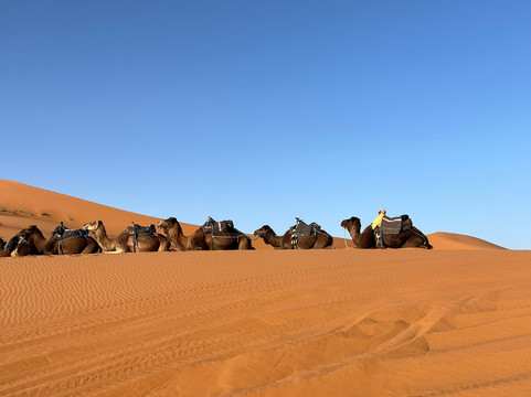 Viajaremos Marruecos- Day Tours-Midelt必去景点