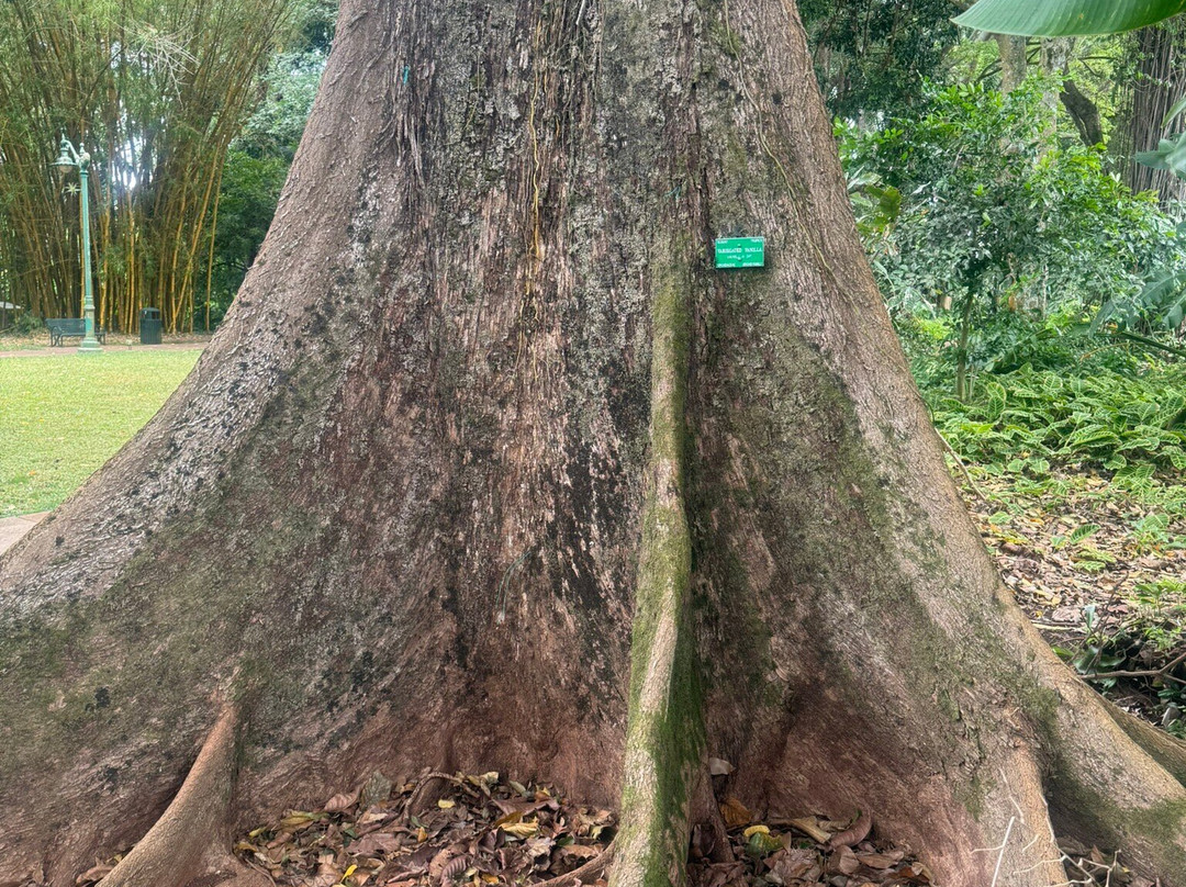瓦西瓦植物园-瓦西瓦必去景点