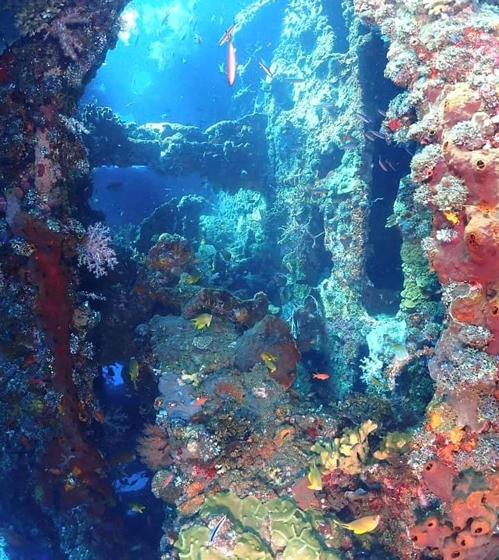 巴厘岛自由潜水度假村主图