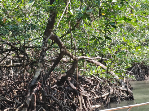 迪尤戴尔度假村-巴拉堂岛主图