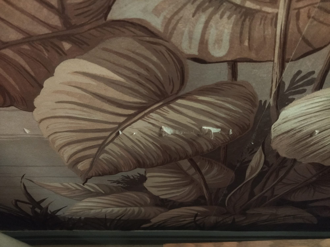 Paradise Cove Boutique Hotel,主图