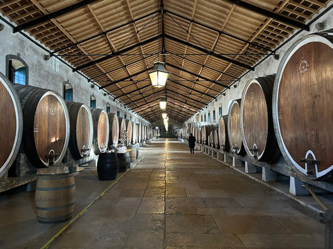 Adega Regional de Colares-科拉雷斯必去景点