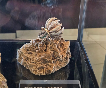 Cape Town Diamond Museum-开普敦中心区必去景点