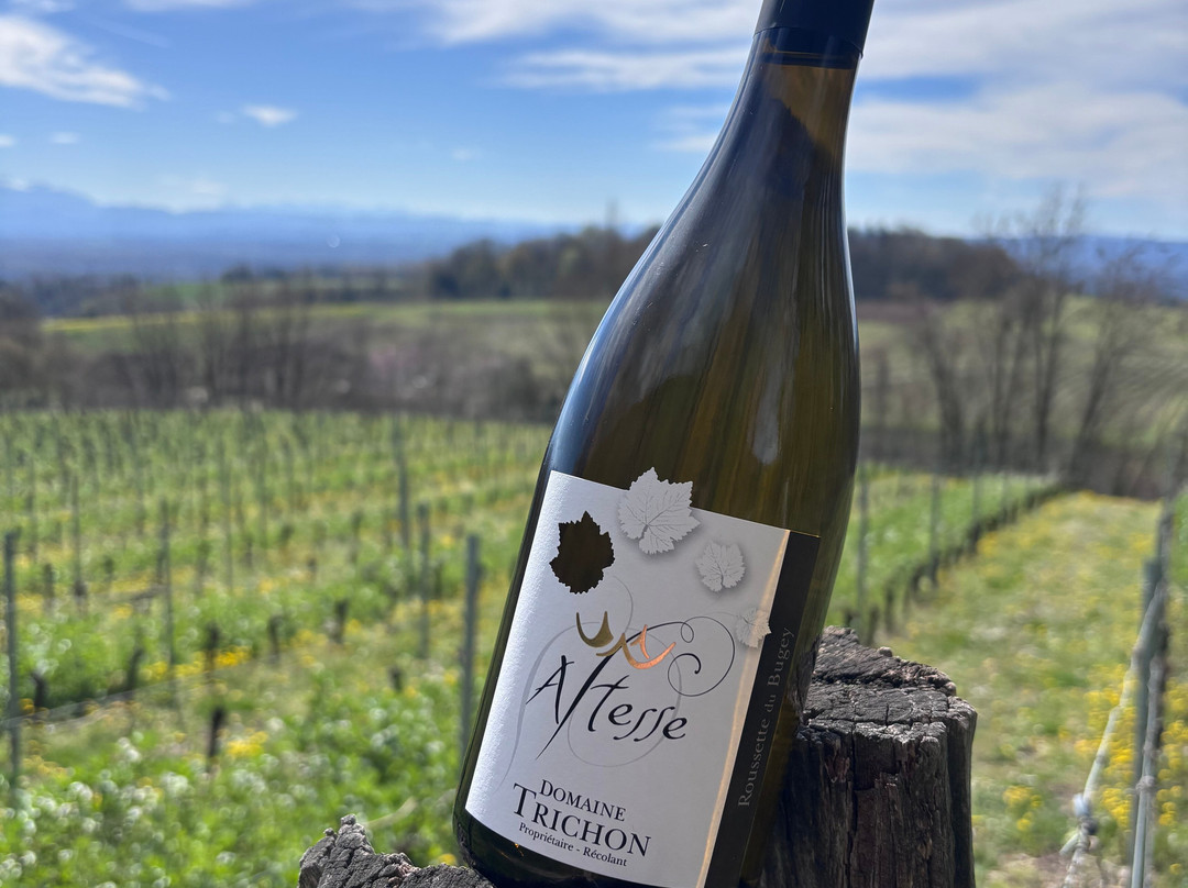 Domaine Trichon-Lhuis必去景点