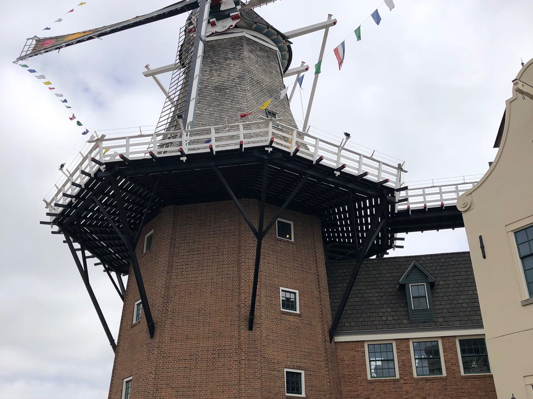 Vermeer Mill