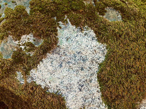 Whiskeytown Lake-雷丁必去景点